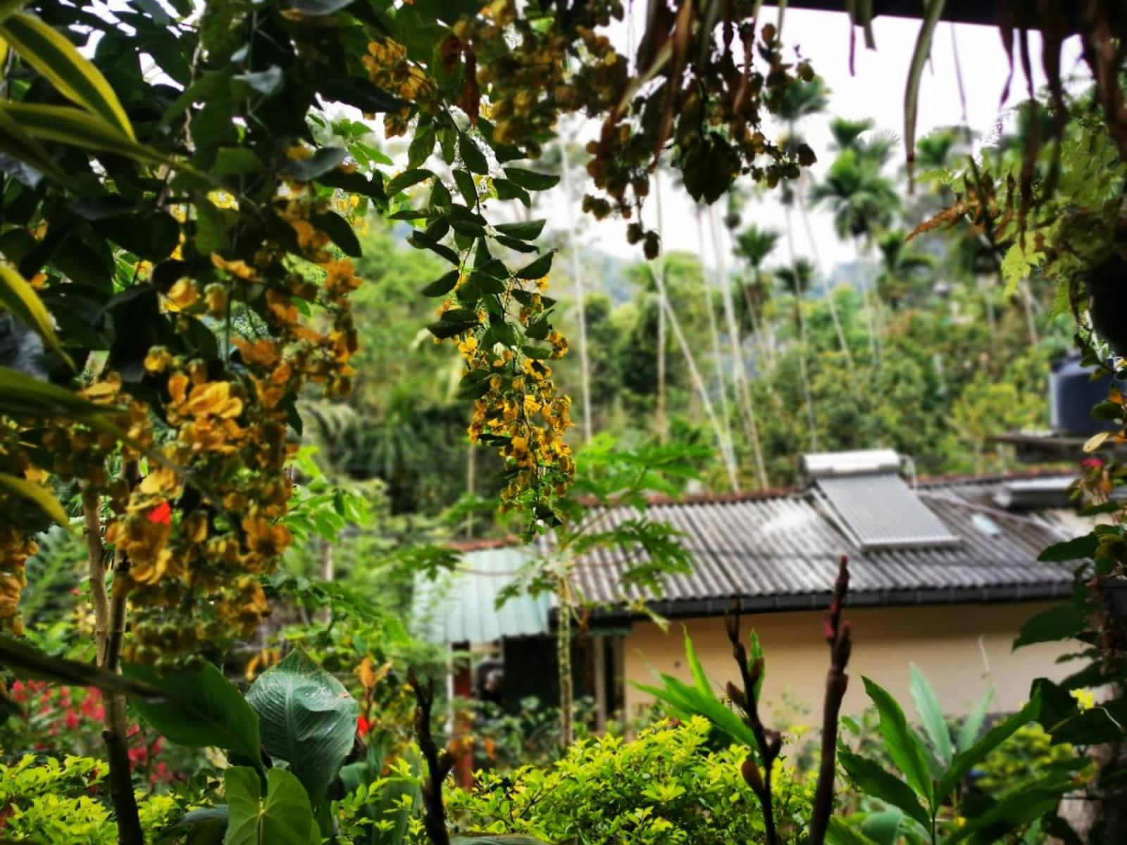 Cozy Homestay Waterfall Road إيلا المظهر الخارجي الصورة