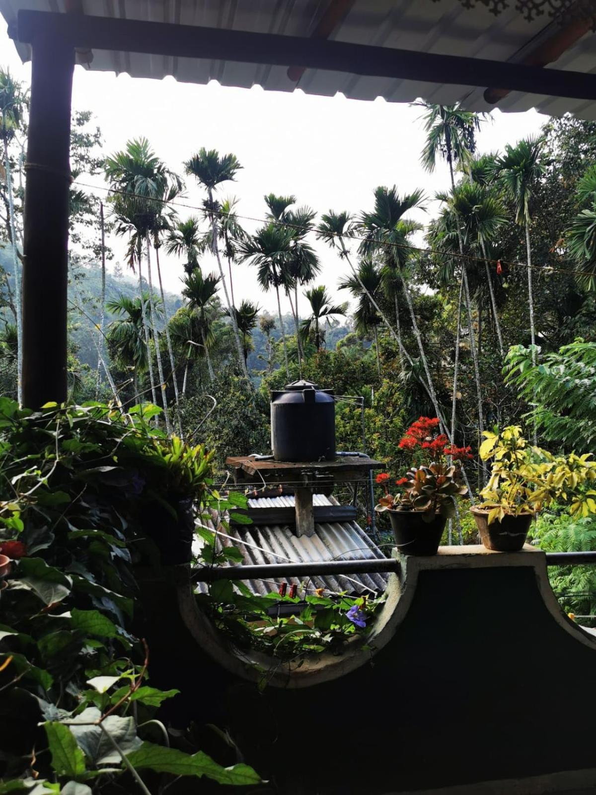 Cozy Homestay Waterfall Road إيلا المظهر الخارجي الصورة
