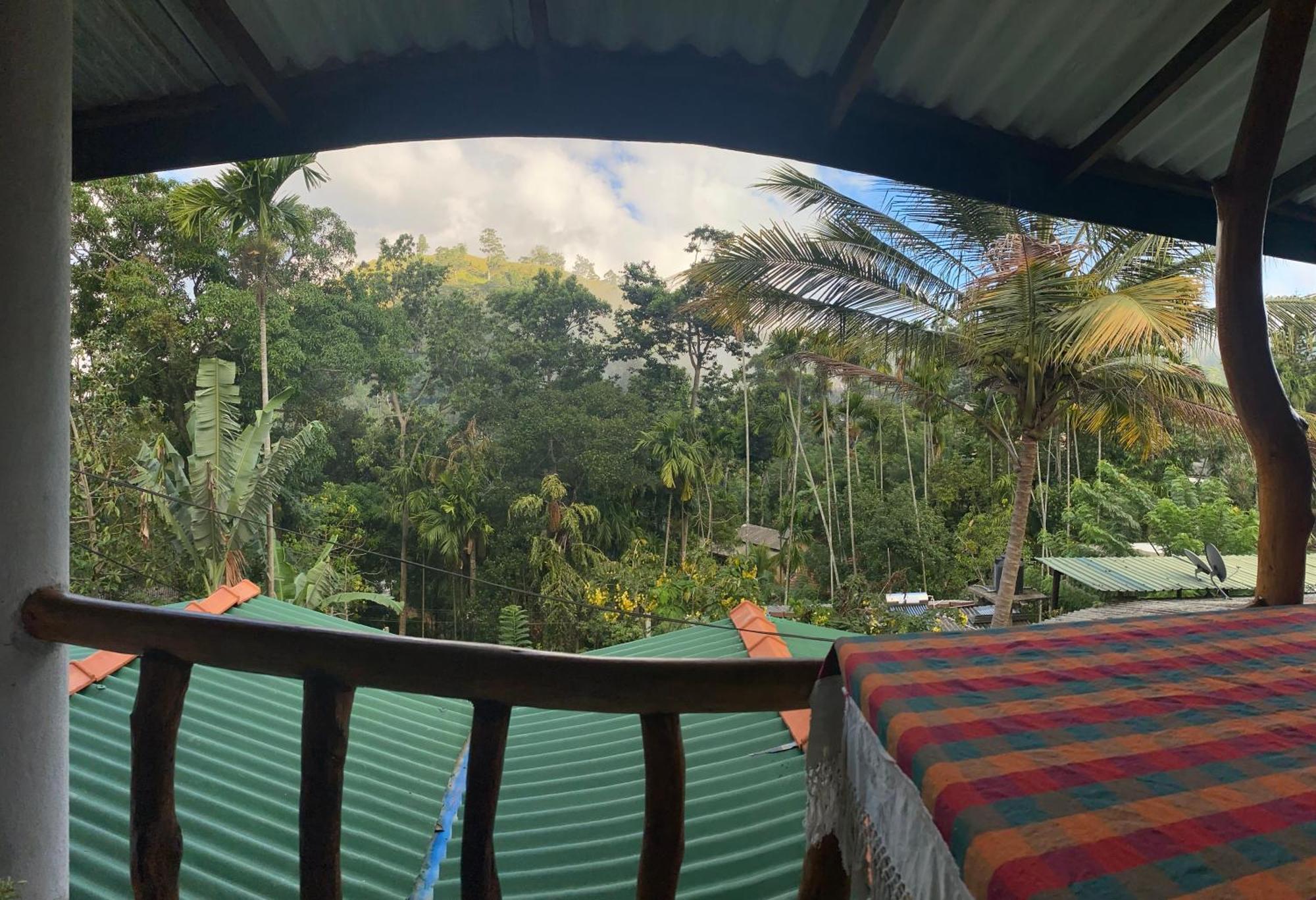 Cozy Homestay Waterfall Road إيلا المظهر الخارجي الصورة