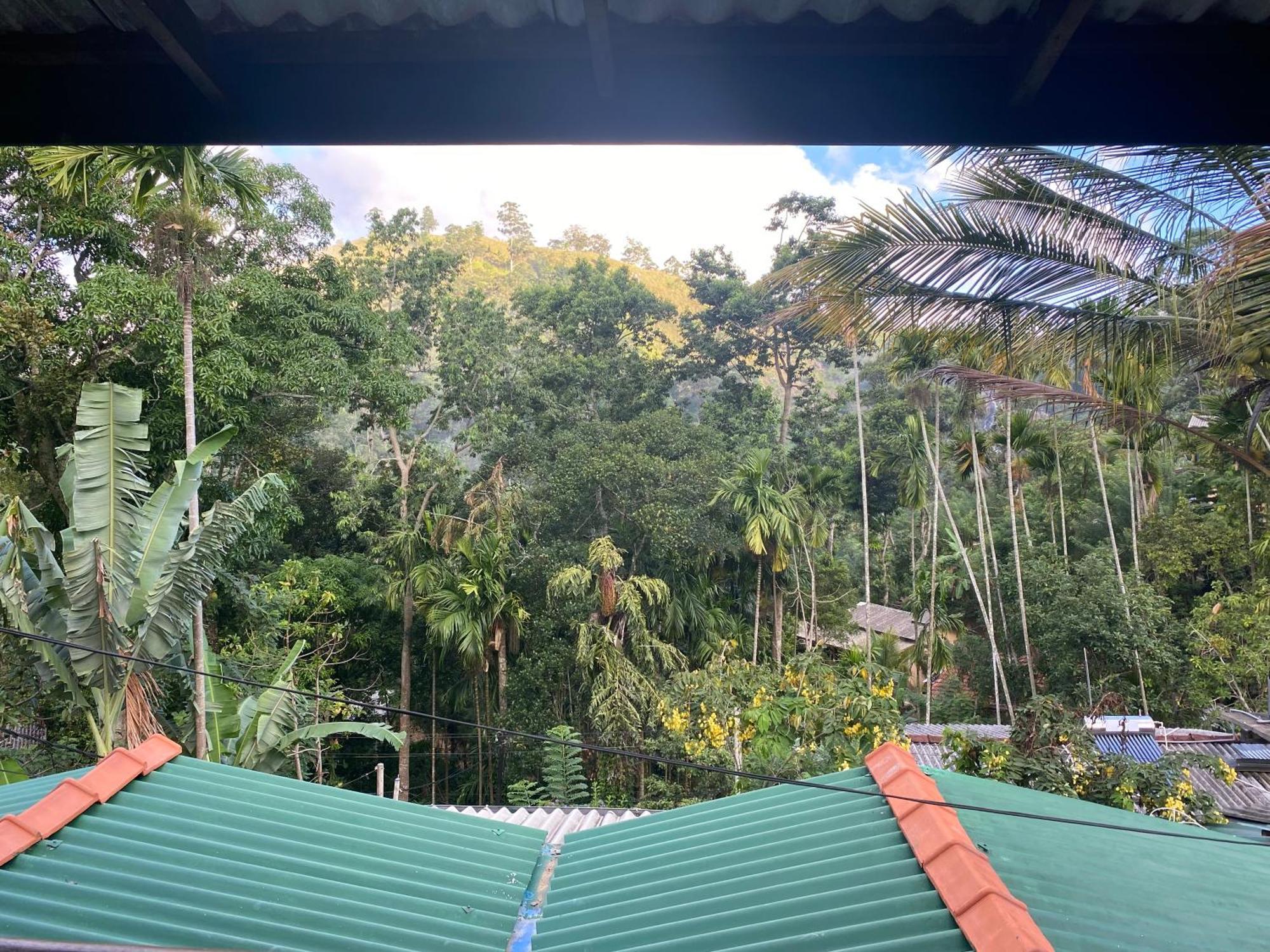 Cozy Homestay Waterfall Road إيلا المظهر الخارجي الصورة