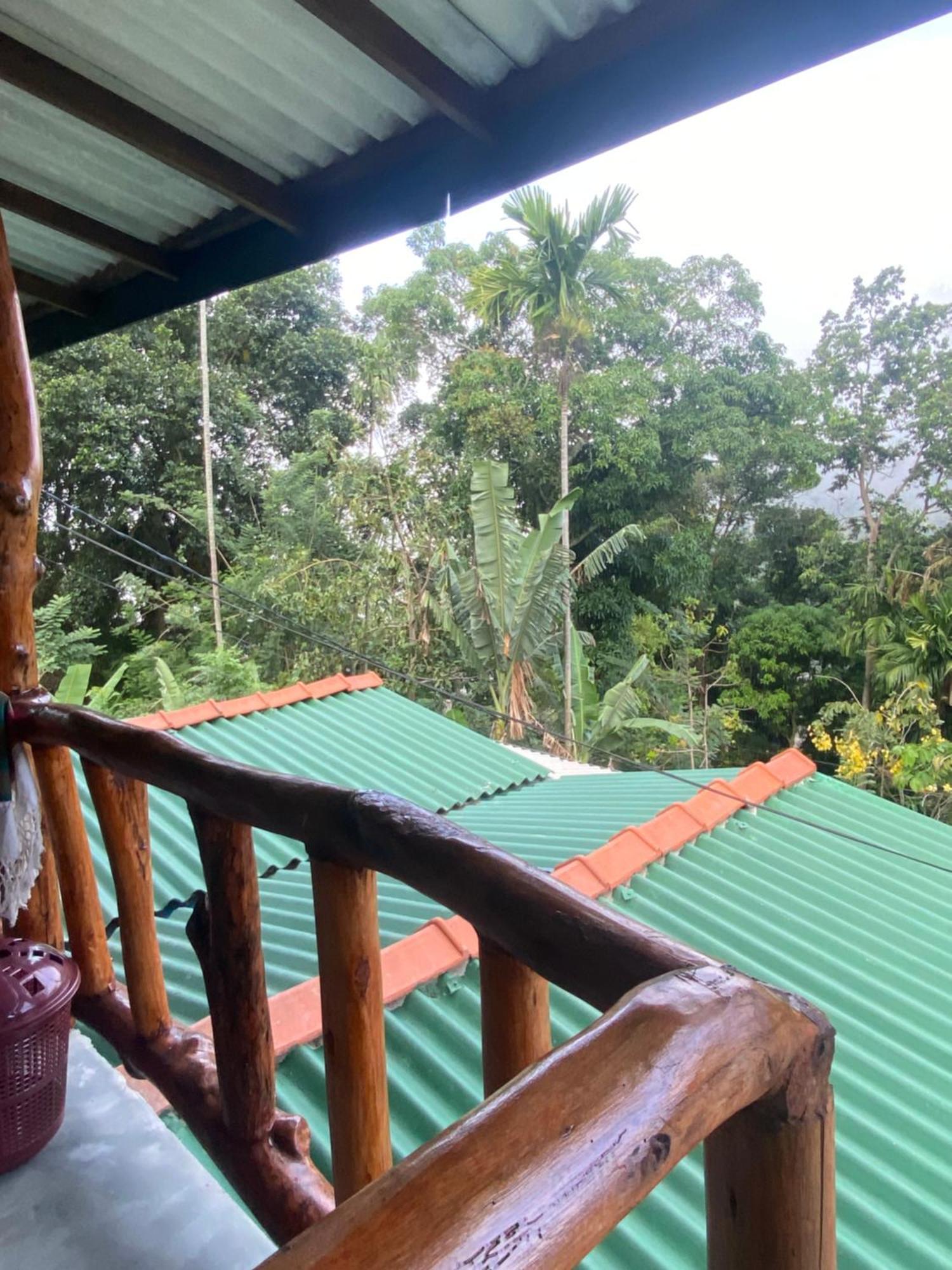 Cozy Homestay Waterfall Road إيلا المظهر الخارجي الصورة