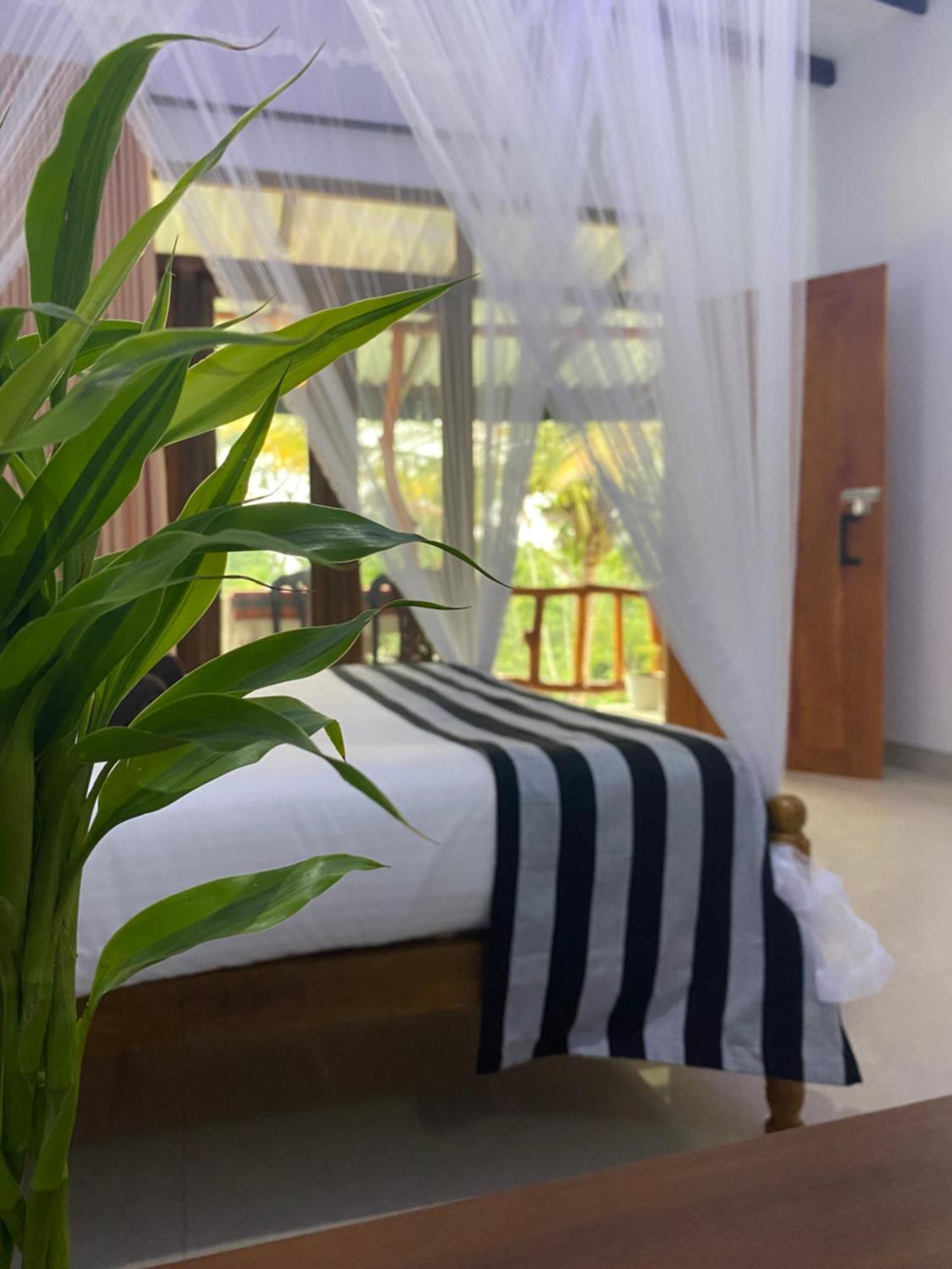 Cozy Homestay Waterfall Road إيلا المظهر الخارجي الصورة