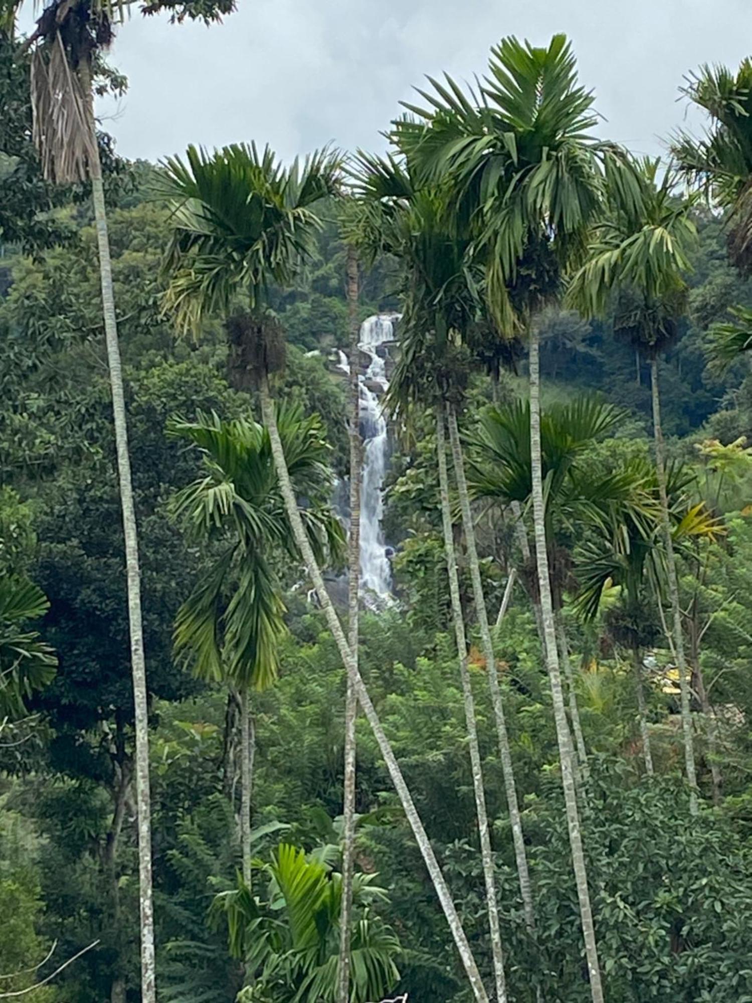 Cozy Homestay Waterfall Road إيلا المظهر الخارجي الصورة