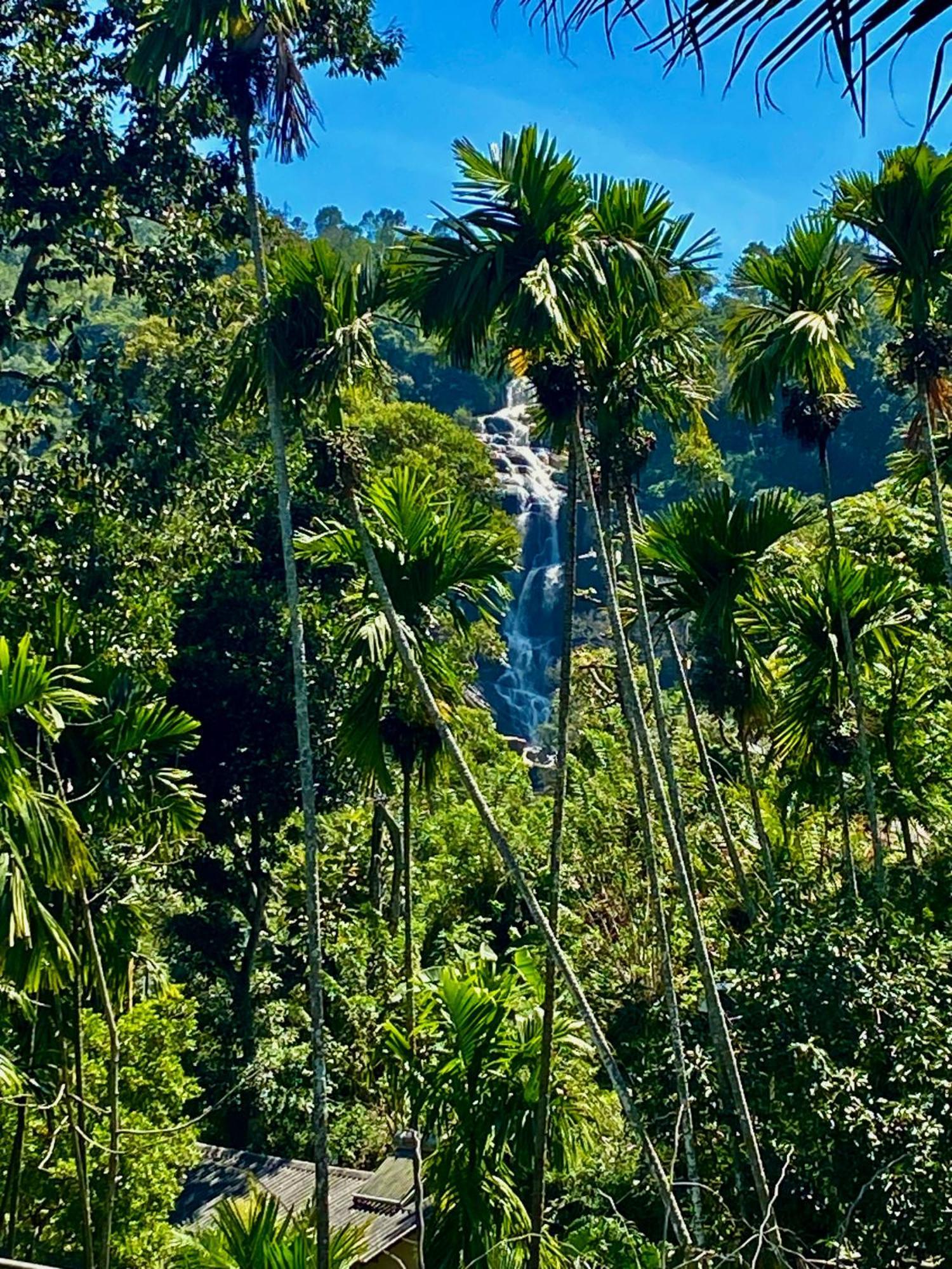 Cozy Homestay Waterfall Road إيلا المظهر الخارجي الصورة