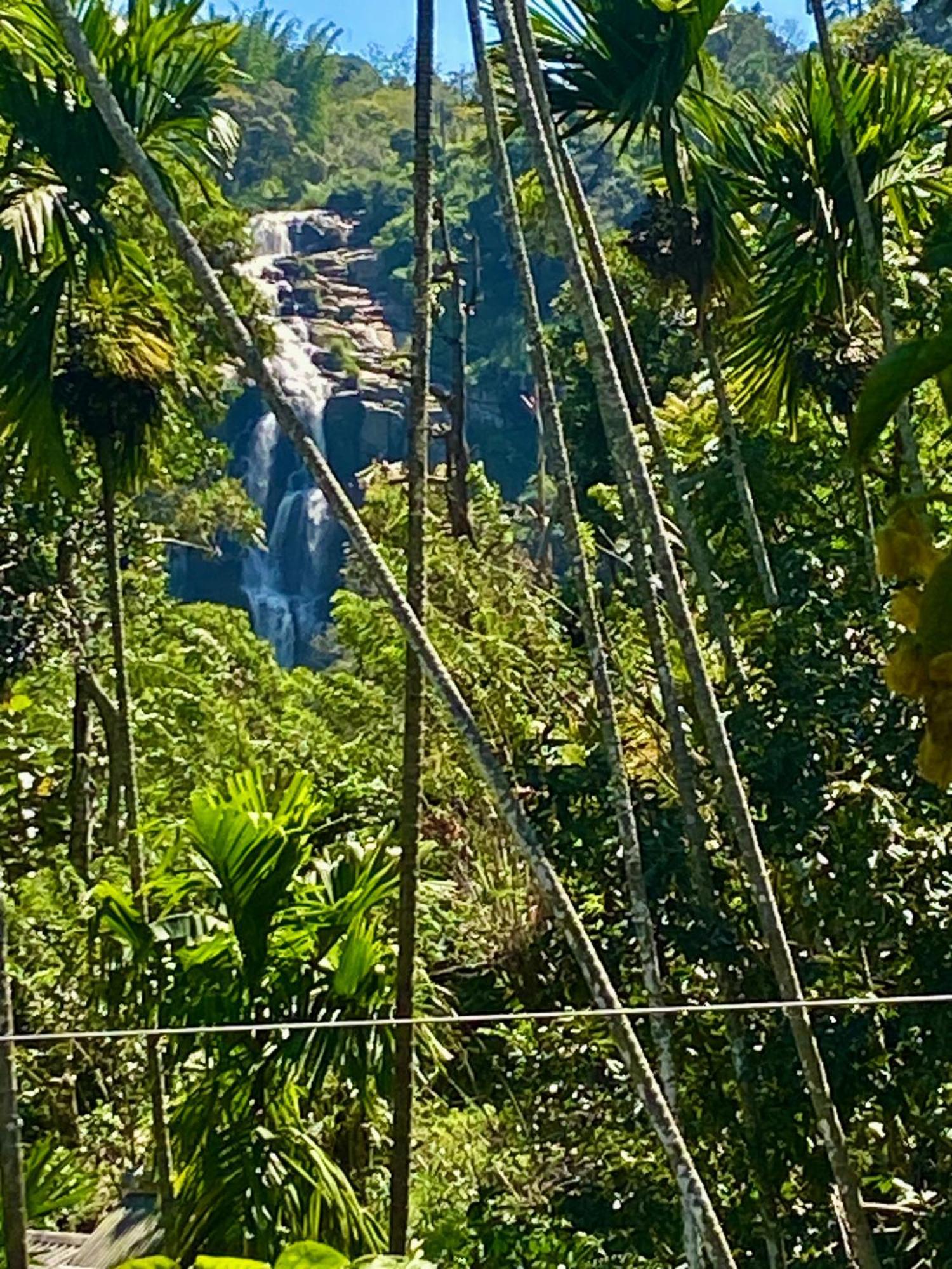Cozy Homestay Waterfall Road إيلا المظهر الخارجي الصورة