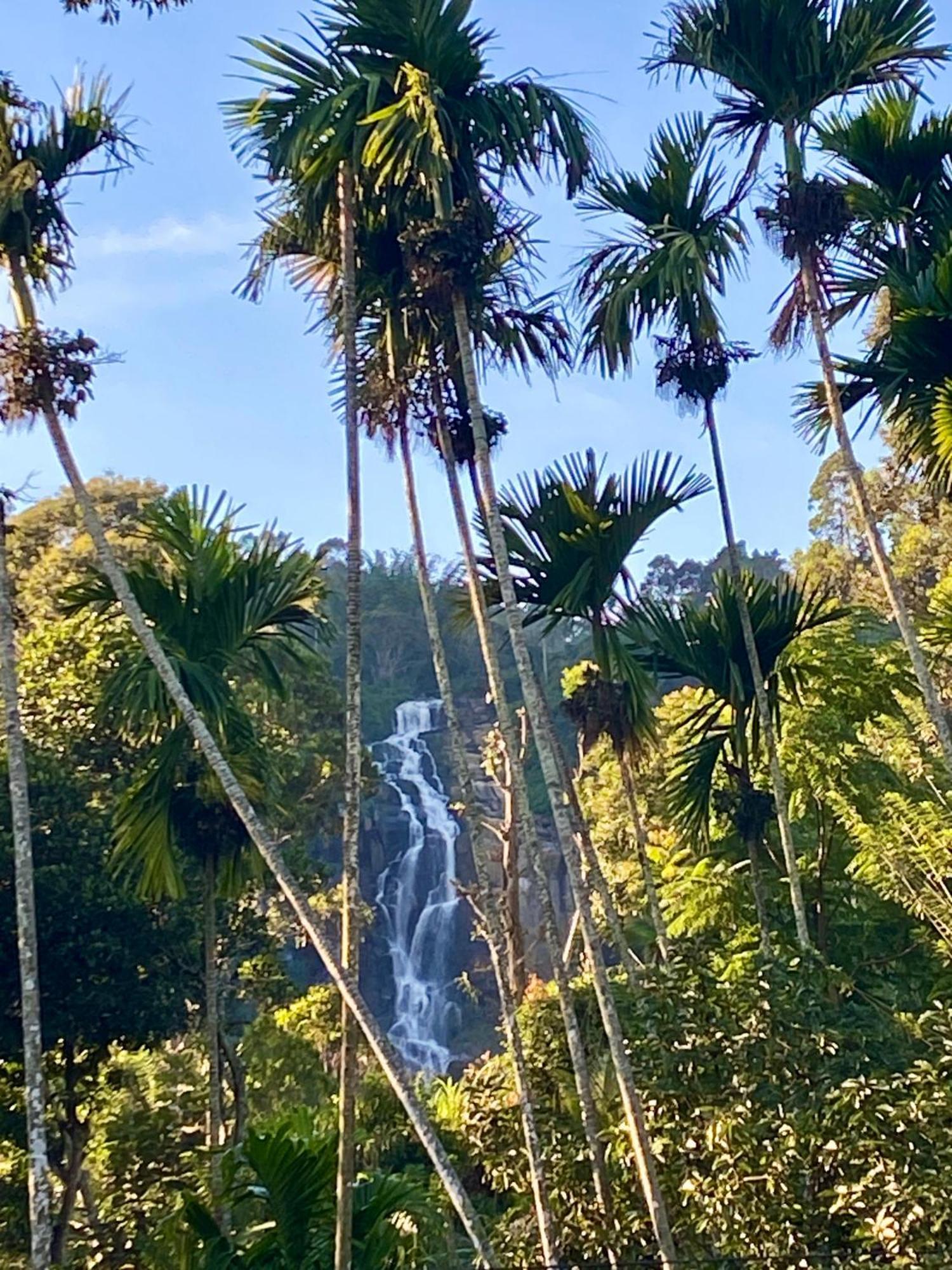 Cozy Homestay Waterfall Road إيلا المظهر الخارجي الصورة