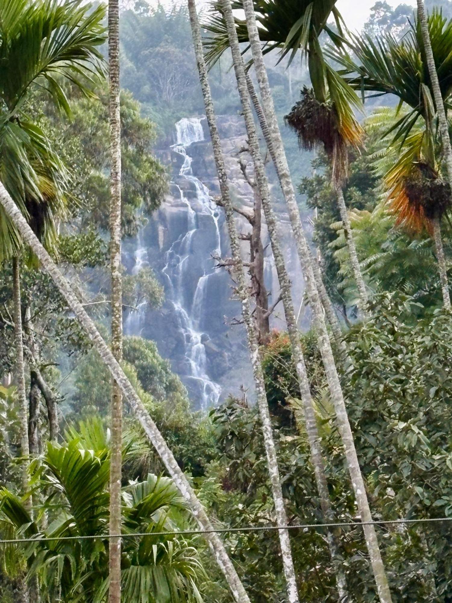 Cozy Homestay Waterfall Road إيلا المظهر الخارجي الصورة